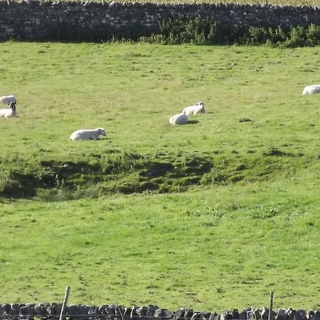 Curlew Barn Bed and Breakfast Leyburn Buitenkant foto