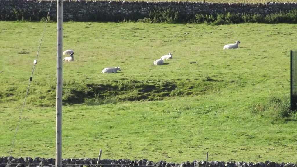 Curlew Barn Bed and Breakfast Leyburn Buitenkant foto