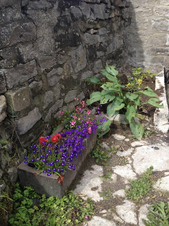 Curlew Barn Bed and Breakfast Leyburn Buitenkant foto