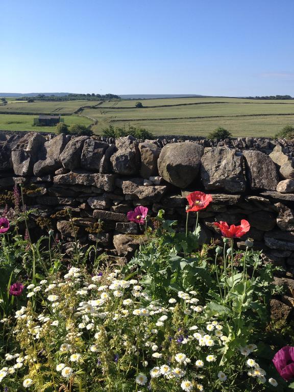 Curlew Barn Bed and Breakfast Leyburn Buitenkant foto