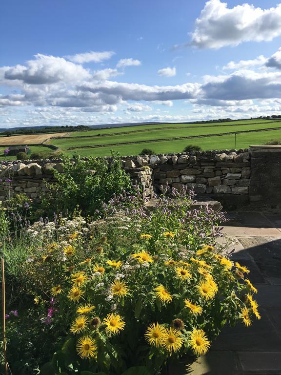 Curlew Barn Bed and Breakfast Leyburn Buitenkant foto